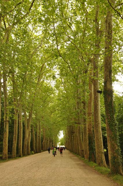min 2012 07 08 chenonceaux 091